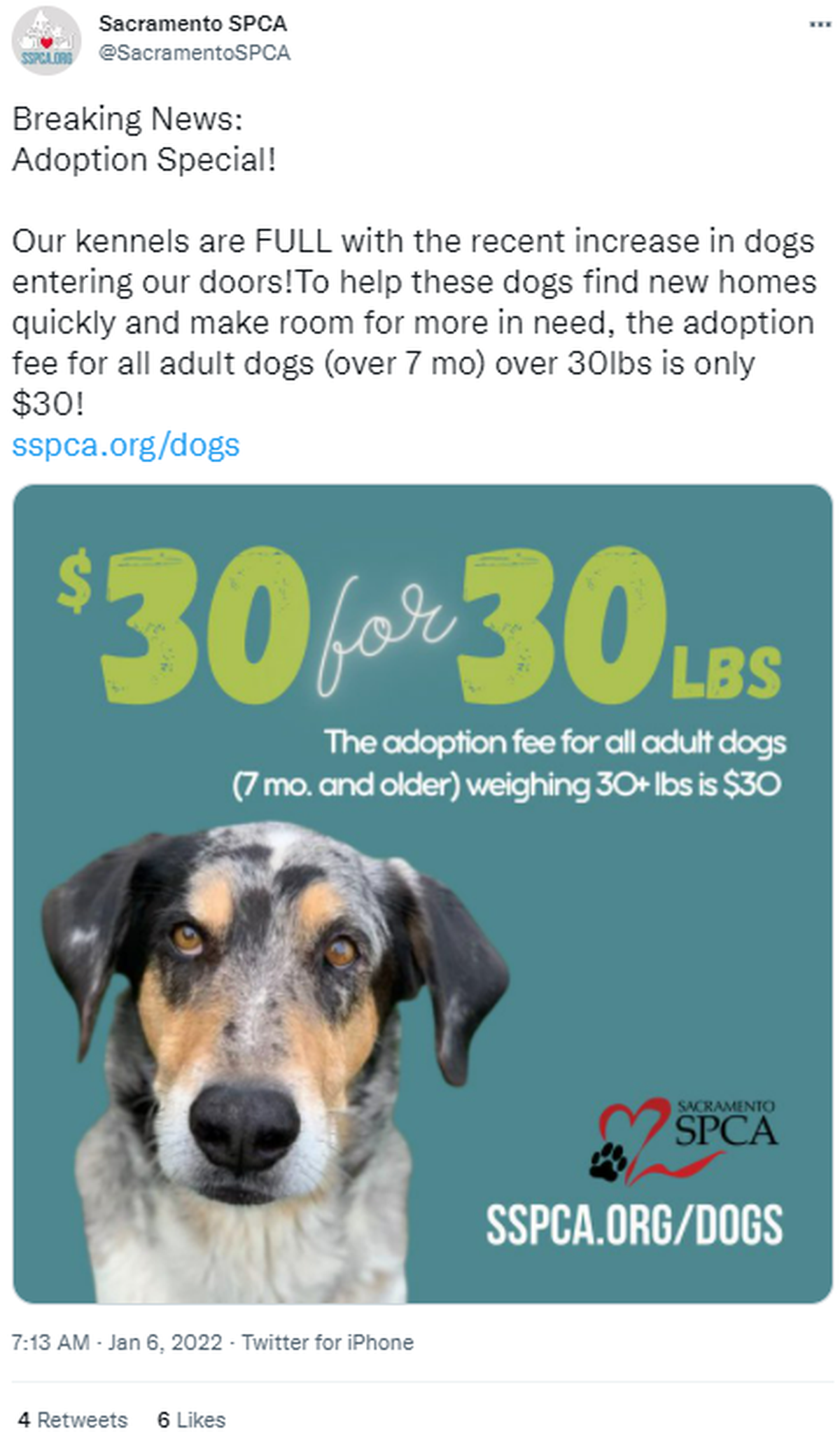Screenshot of Sacramento’s Society for the Prevention of Cruelty to Animals’ Tweet on Thursday about the recently reduced adoption fee.
