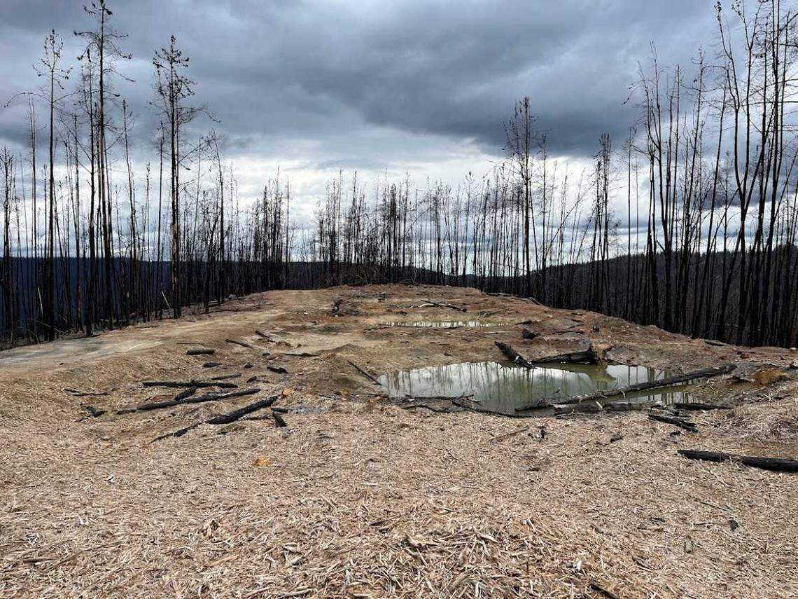 This is a photo of the Tahoe National Forest after the Mosquito Fire, which burned nearly 77, 000 acres of wild land.