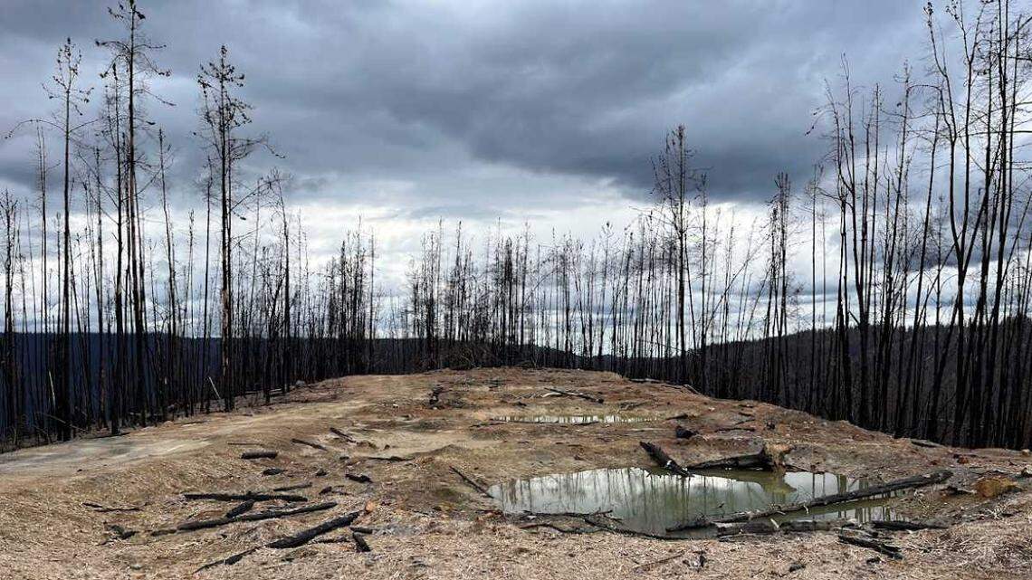 Tahoe National Forest begins 406-acre prescribed burn. Here’s what visitors need to know