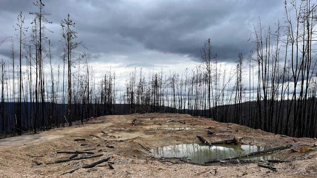 A portion of Tahoe National Forest is seen in 2023 after the Mosquito Fire, which burned nearly 77, 000 acres of forestland. U.S. Forest Service officials began a prescribed burn across 400 acres of forestland near Truckee to prevent wildfires.