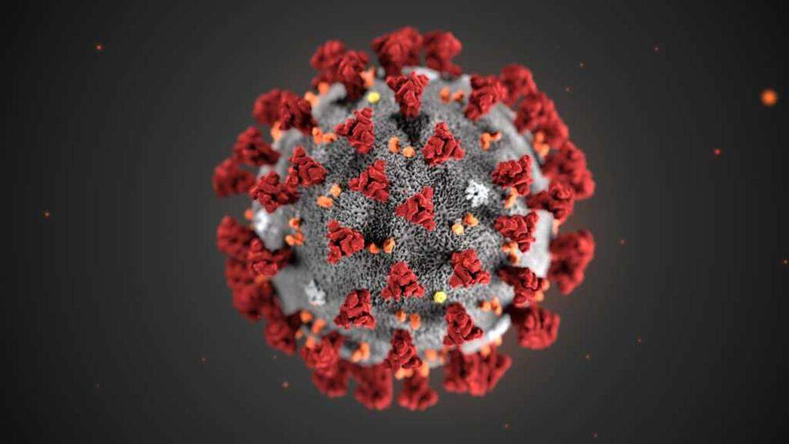 The ultrastructural morphology exhibited by the 2019 Novel Coronavirus (2019-nCoV), which was identified as the cause of an outbreak of respiratory illness first detected in Wuhan, China, is seen in an illustration released by the Centers for Disease Control and Prevention (CDC) in Atlanta, Georgia, U.S. January 29, 2020.
