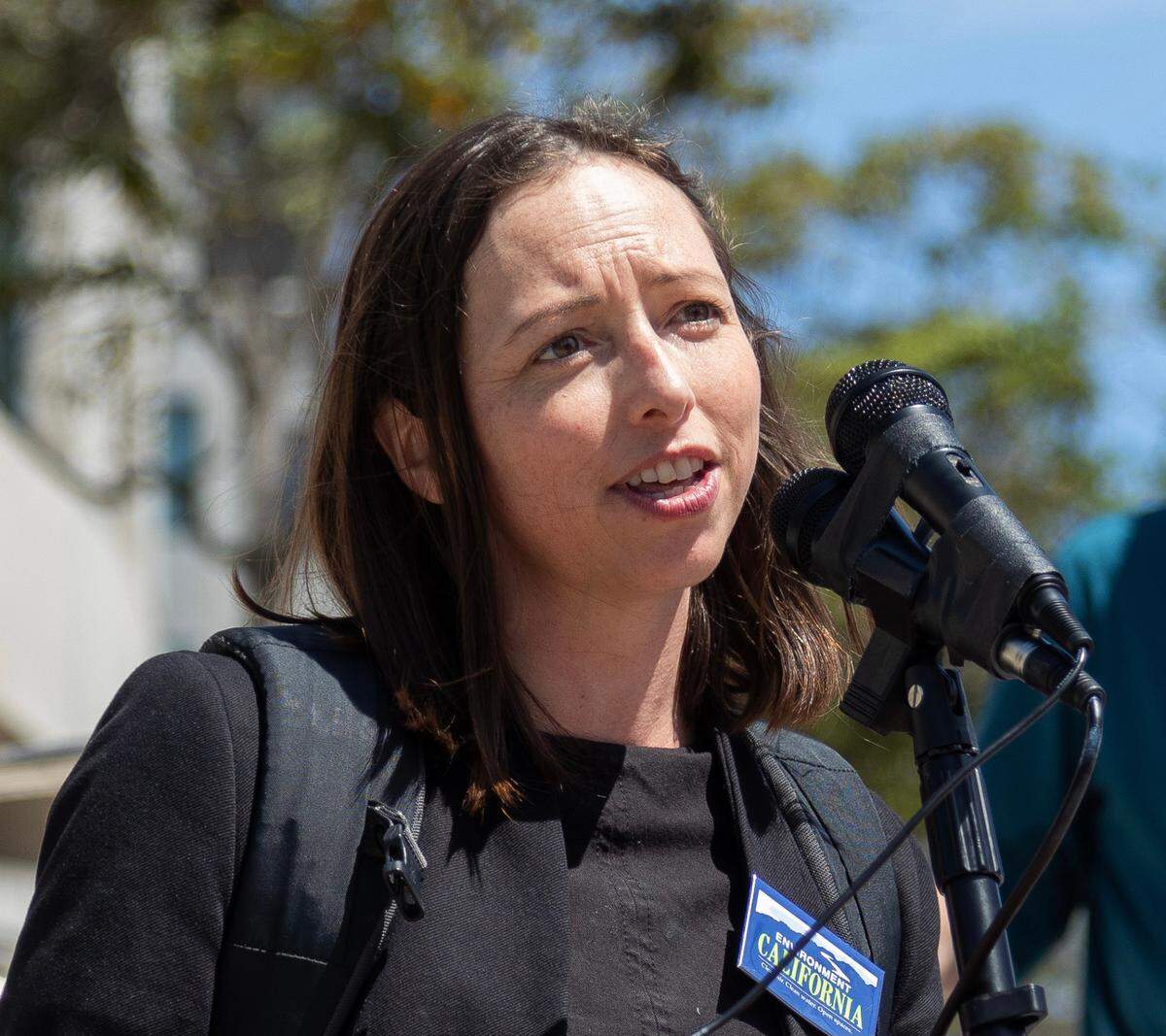 Laura Deehan is the state director of Environment California.