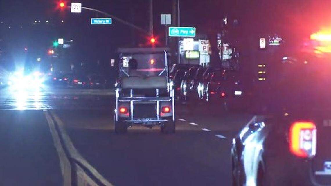 A shirtless man driving a golf cart while holding a dog in his lap led Los Angeles police on a 10-mile chase, California cops say.