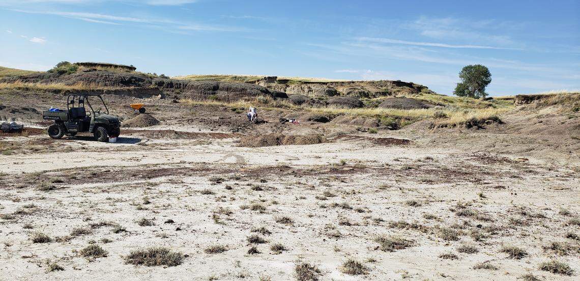 The discovery site with on going excavation.