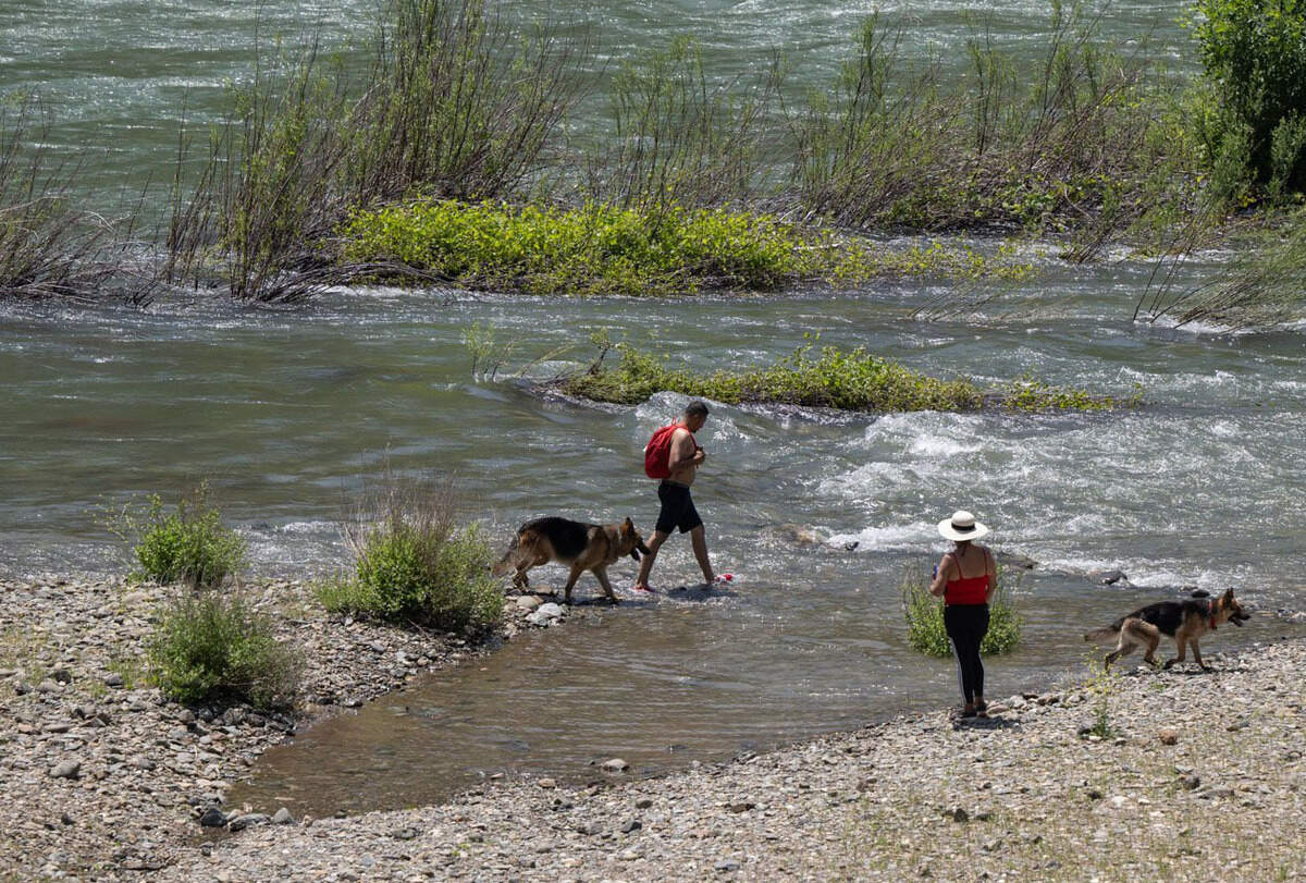 Visitors walk with their dogs near the American River confluence at the on Wednesday. State and local officials are warning that the swift and cold water from the record-breaking snow pack will pose “extreme danger” much later into the summer than usual.