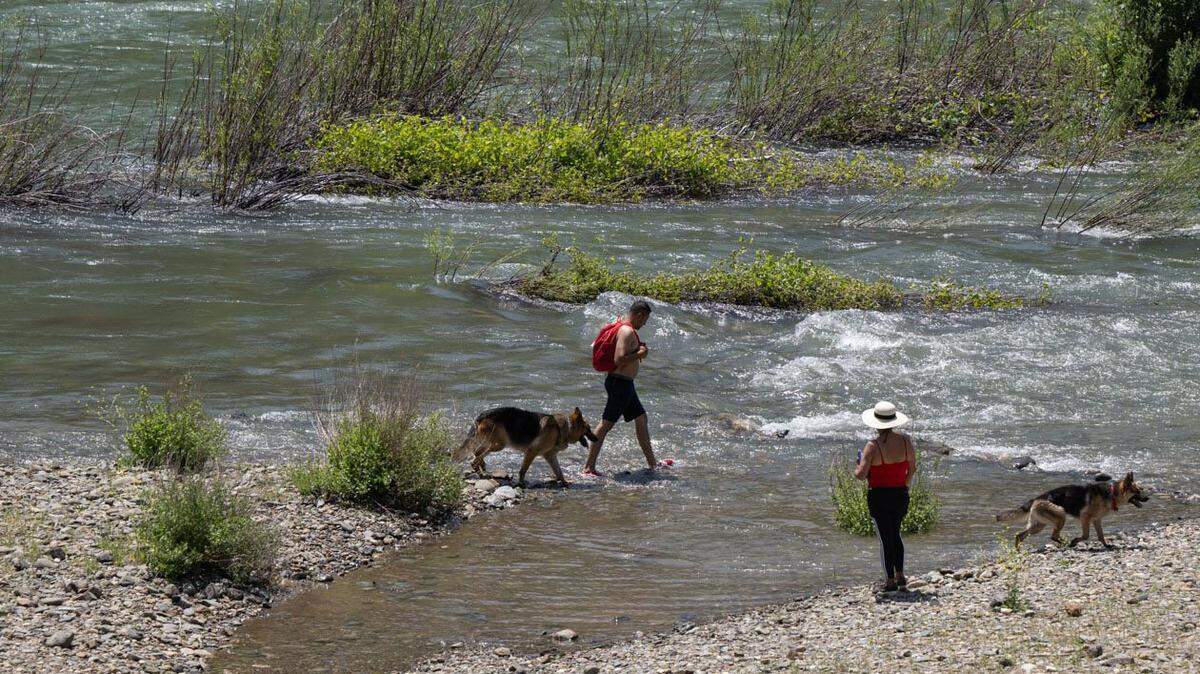 Visitors walk with their dogs near the confluence American River’s north and middle forks in the Auburn State Recreation Area on Wednesday, May 24, 2023.