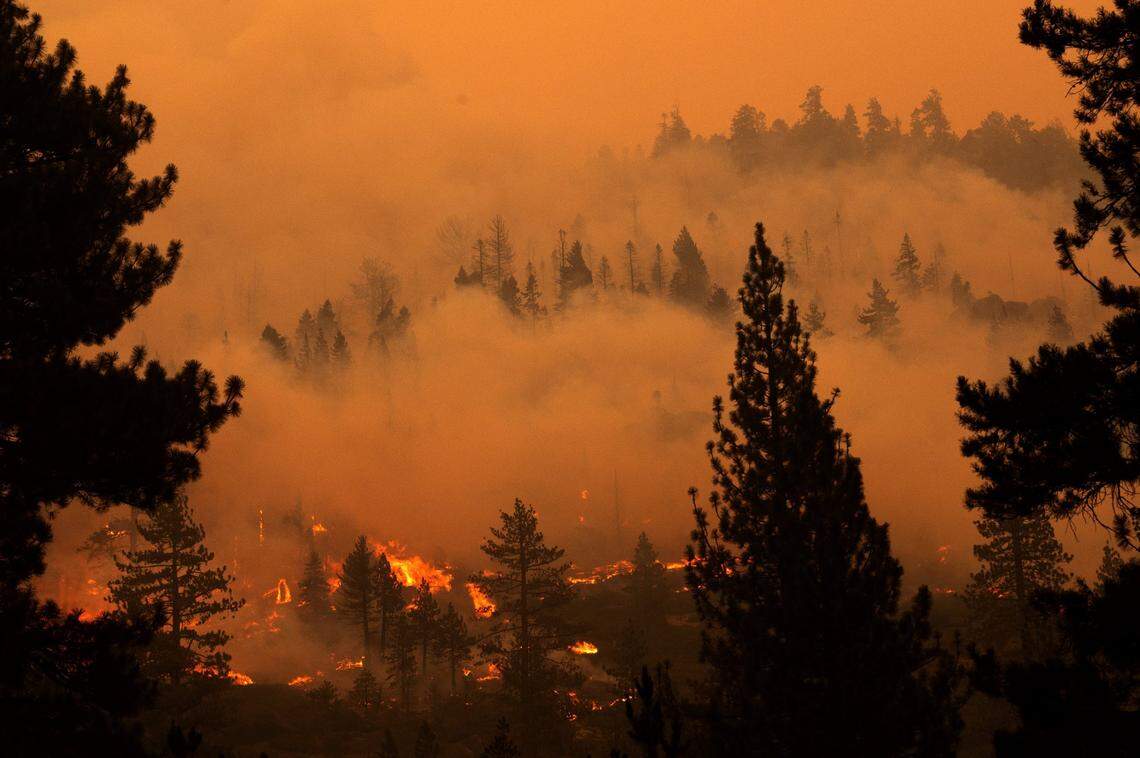 Trees burn along the east ridge of Christmas Valley near Highway 89 in the Tahoe Basin during the Caldor Fire on Monday evening, Aug. 30, 2021.