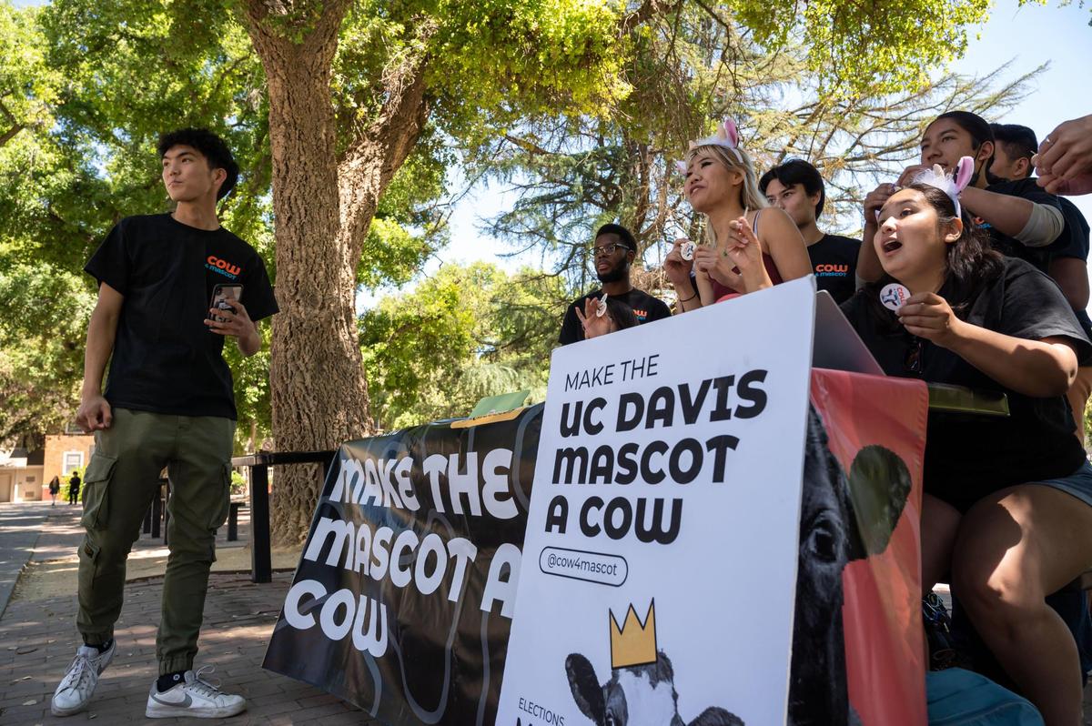 Mick Hashimoto, left, is a third year economics and statistics double major who is leading a group of UC Davis students campaigning to have the school mascot changed from a mustang to a cow. The group of students campaign from their table on the East Quad on Friday.