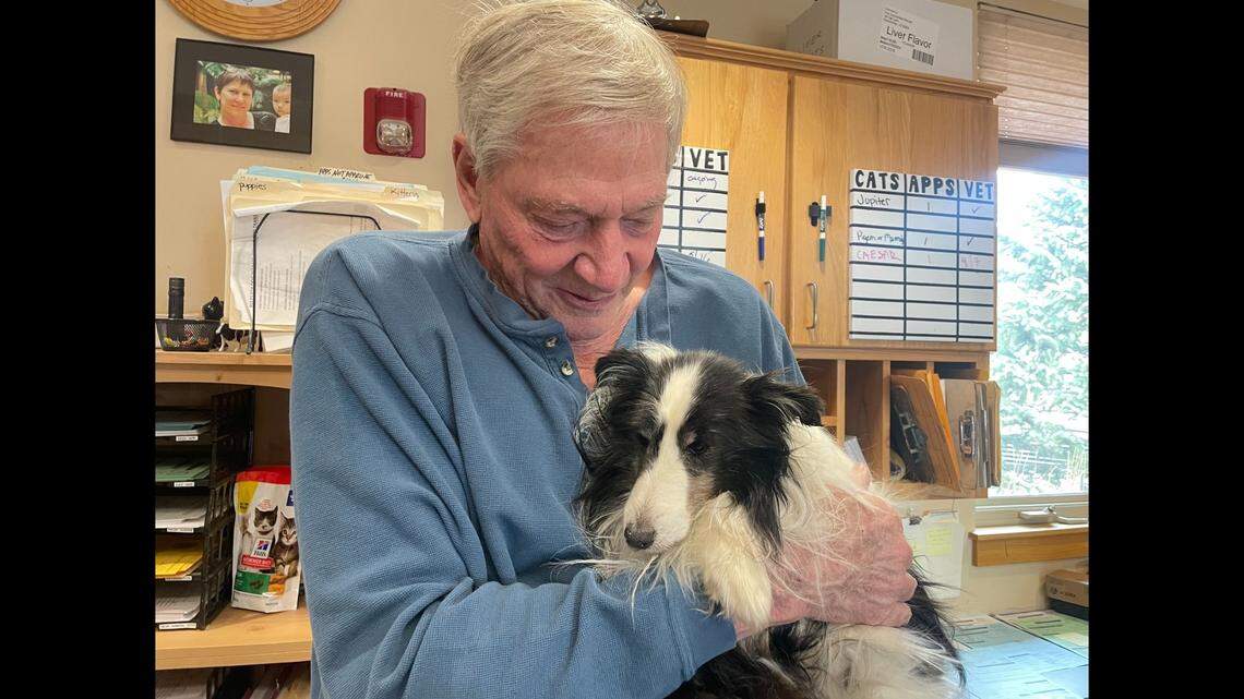 Riley vanished from his owner’s home on April 8 in Summit County, Colorado, and was found on a mountain peak five weeks later, a group said.