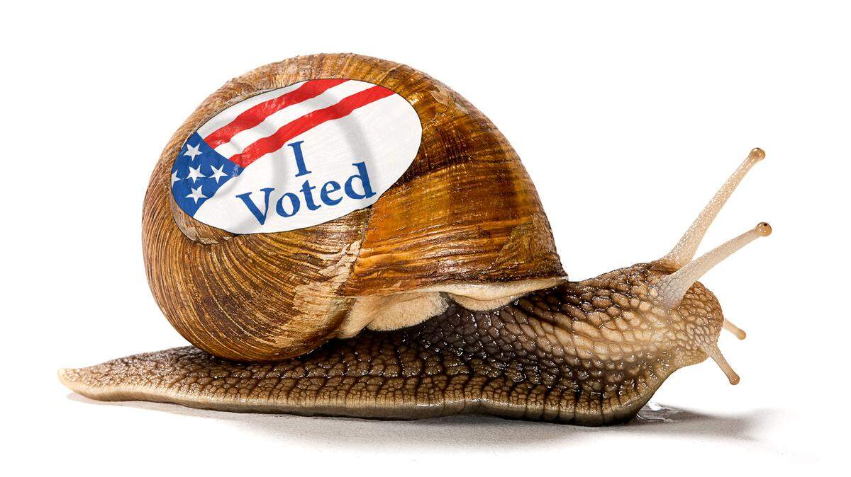 This handy guide will get even the slowest voters up to speed on voting in the March 5, 2024, primary election.