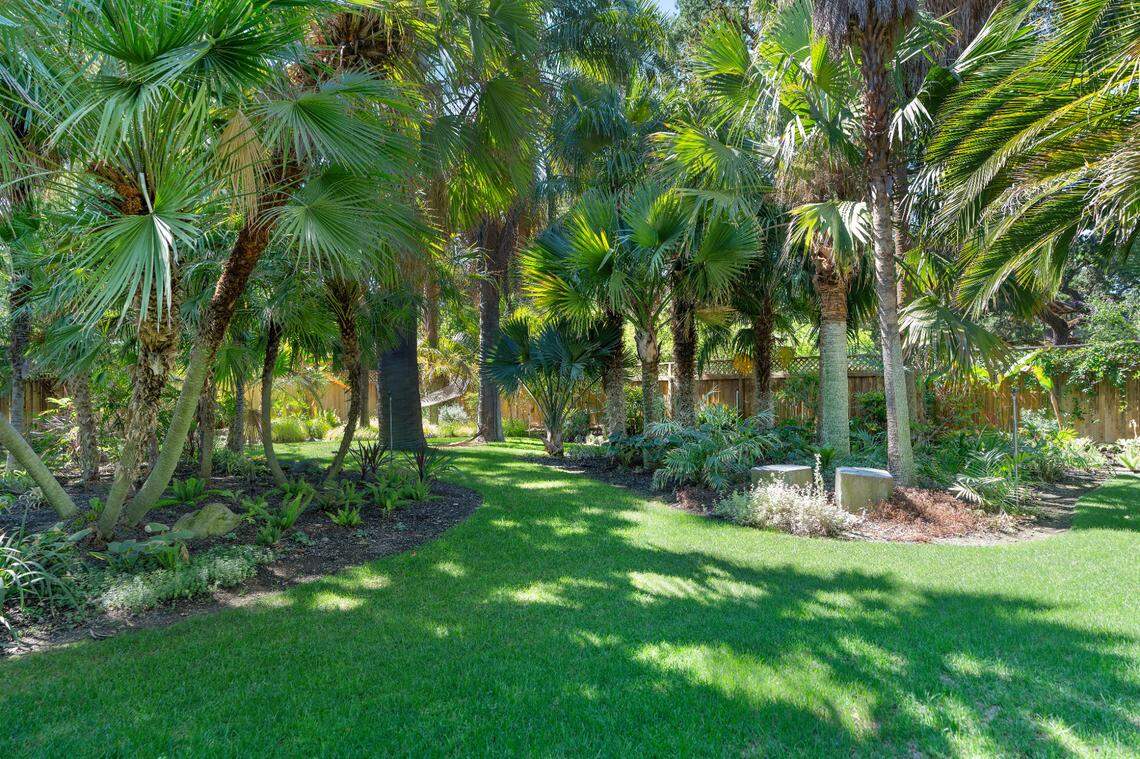 The lush Hardy Palm Garden at 35 Amberwood Lane in Walnut Creek, California.