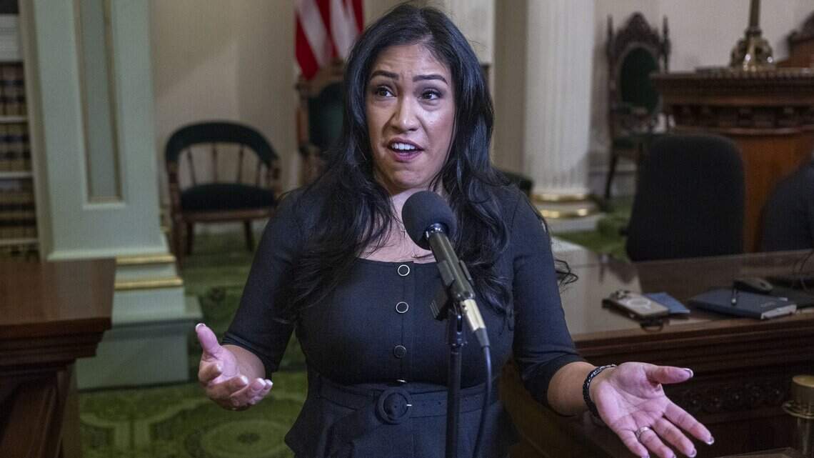 Bill seeks to bar sex offenders from public office. Some argue it’s too narrow