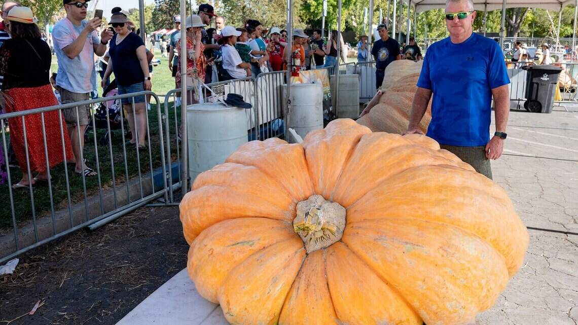 Annual pumpkin weigh-off offers $75,000 prize for world’s first 3,000-pound pumpkin