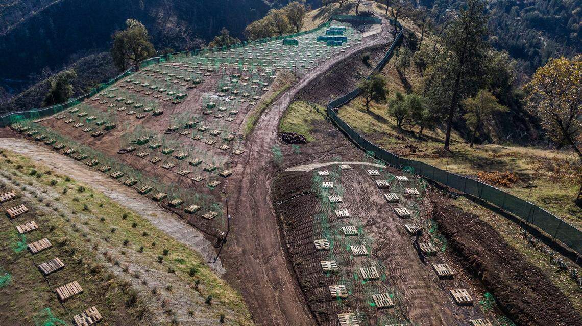 Lee Tannenbaum has spent millions of dollars to set up a cannabis farm, seen by drone Wednesday in El Dorado County. A dispute over how the county conducts criminal background checks has stopped him from getting a license. Tannenbaum, a U.S. Army veteran who still works as a tech sales executive, estimates the delay is costing him $4 million per year in revenue.