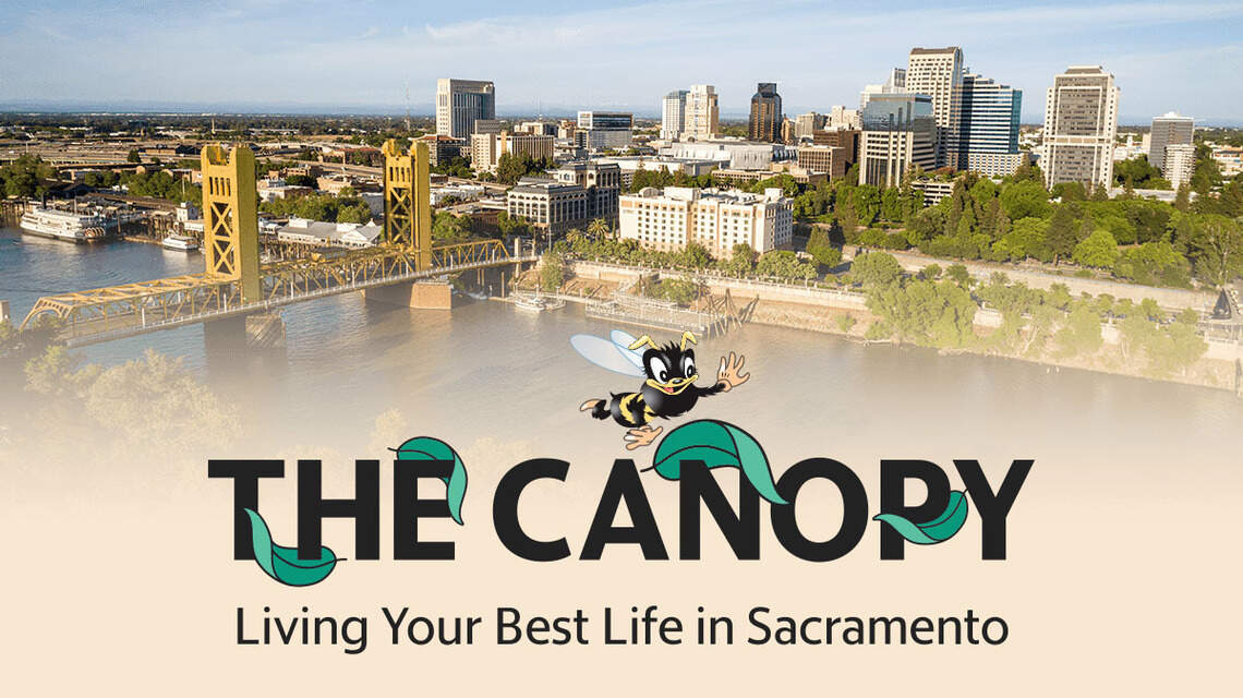 Essential stories for your best Sacramento life: Sign up for The Canopy newsletter