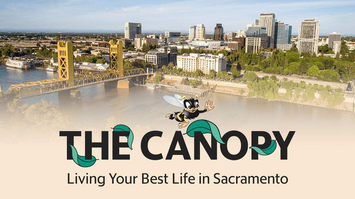Essential stories for your best Sacramento life: Sign up for The Canopy newsletter