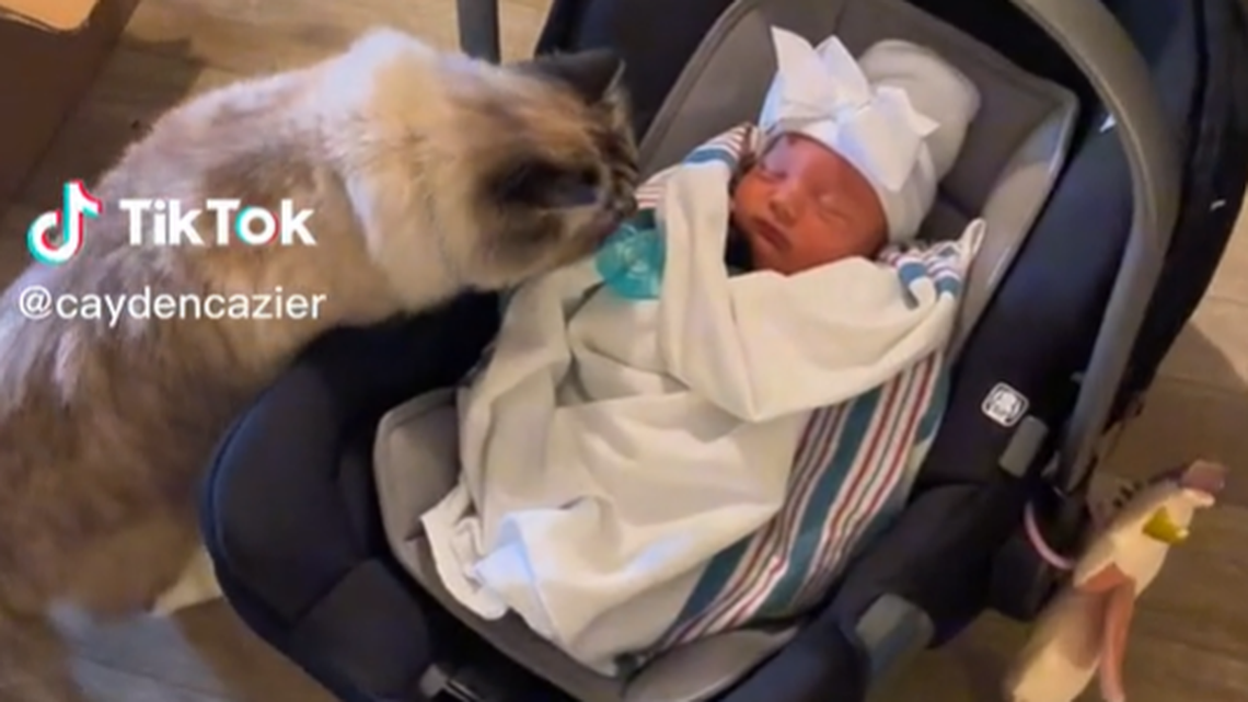 “‘I don’t want it … makes me sick. Return it now,’” someone joked on the Utah couple’s video.