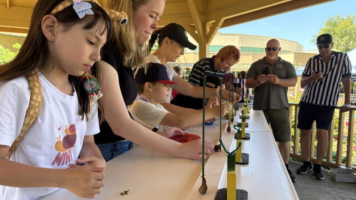Snails race, one foot at a time, in celebration of Folsom’s 80th birthday