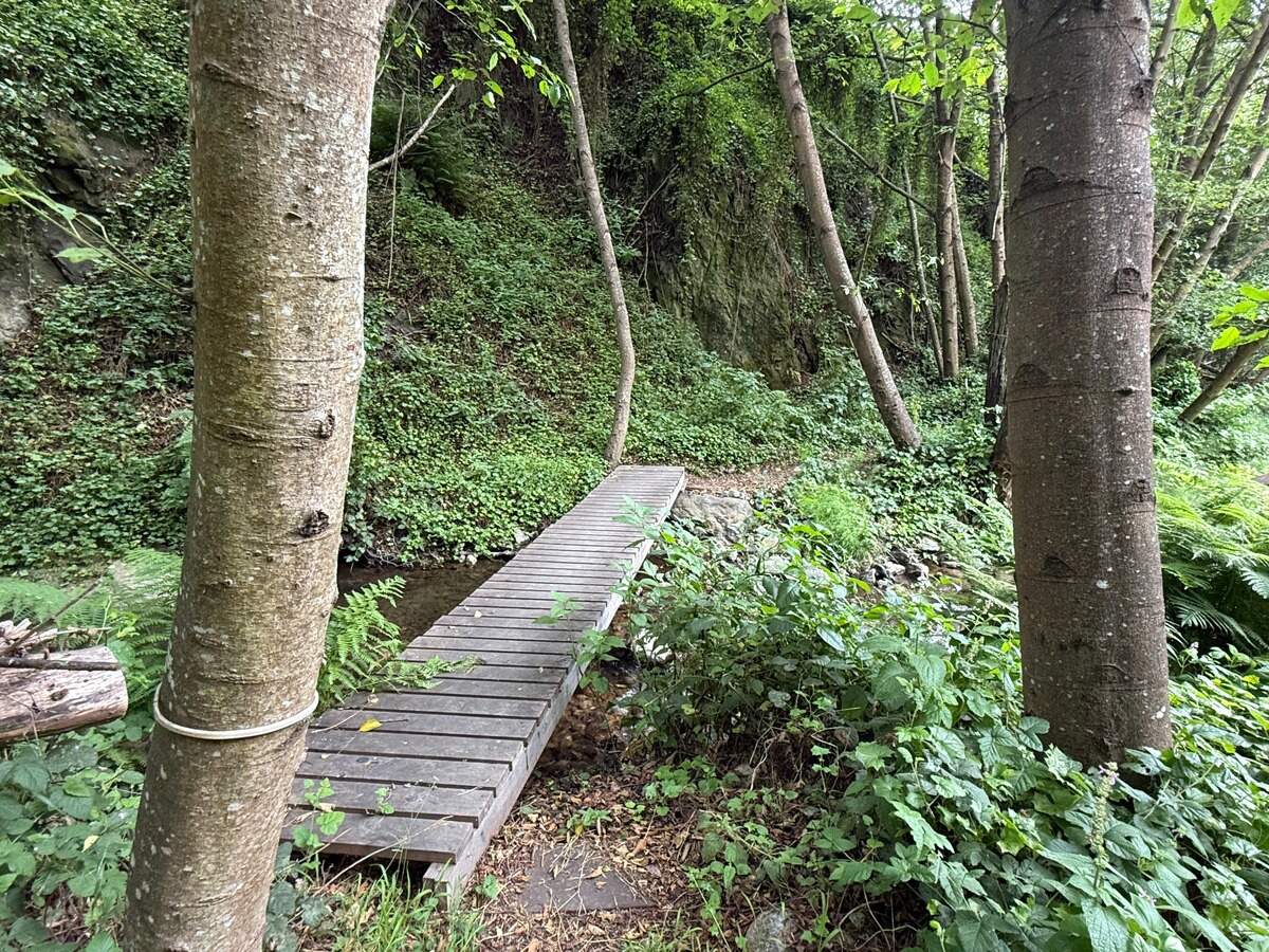 The Big Sur sanctuary in Bixby Canyon, once owned by Lawrence Ferlinghetti, offers creek access and trout ponds.