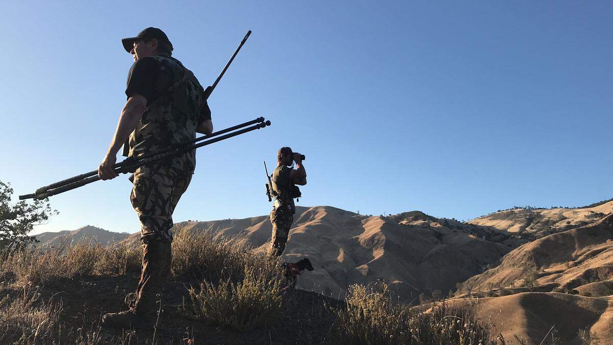 Steve Fournier, a hunter from Aptos, scans for wild pigs on June 16, 2018, in the hills of San Benito County while his hunting guide, Sam McGuire, uses binoculars to look for hogs.