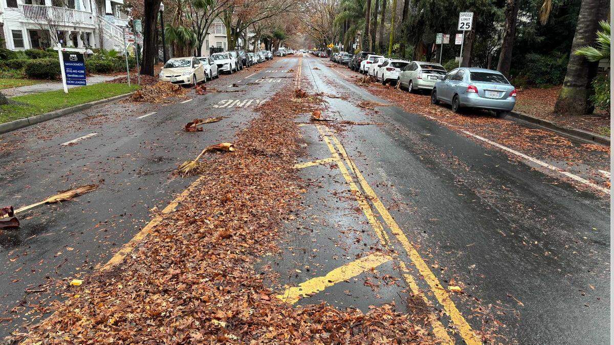 Leaves and palm fronds are scattered across the slick roadway on N Street at 22nd Street in midtown Sacramento on Wednesday, Dec. 24, 2025. Traffic was light on the capital city's grid as most residents were observing Christmas Eve.