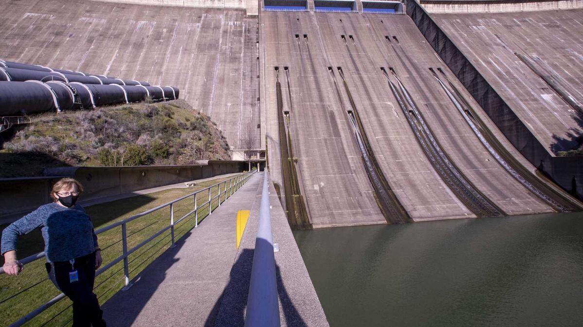 Shasta Dam stands 602 feet tall. Since its completion in 1945, the dam has blocked Chinook salmon from returning upstream to the cold spring-fed streams near Mount Shasta where they once spawned.