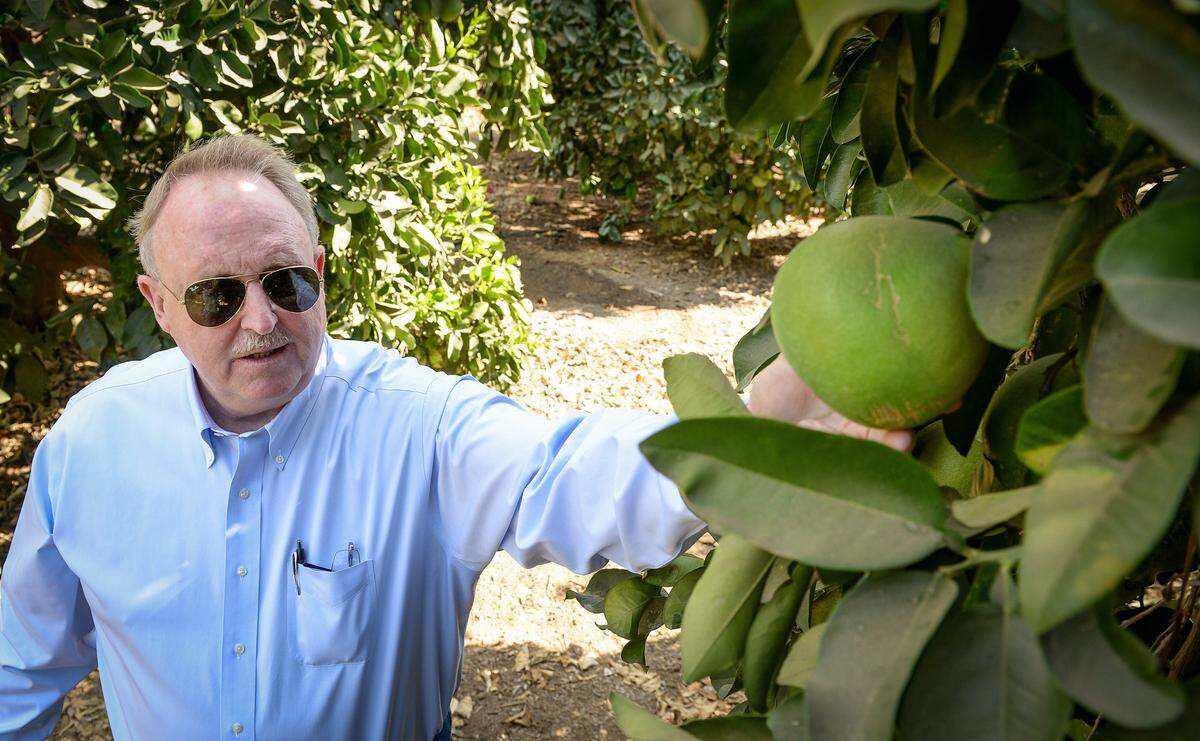 Porterville farmer John Corkins checks on his grapefruit orchard, which is drip irrigated with about 60% of the water coming from wells, on Tuesday, Sept. 17, 2019.
