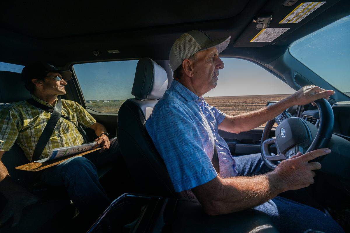 Farmer George Tibbitts, right, drives to check on a safflower field he is preparing to flood as he works with Greg Golet, left, of The Nature Conservancy on Aug. 15 in Colusa County. By flooding fields, Tibbitts is working to restore habitats for migratory birds passing through the state.