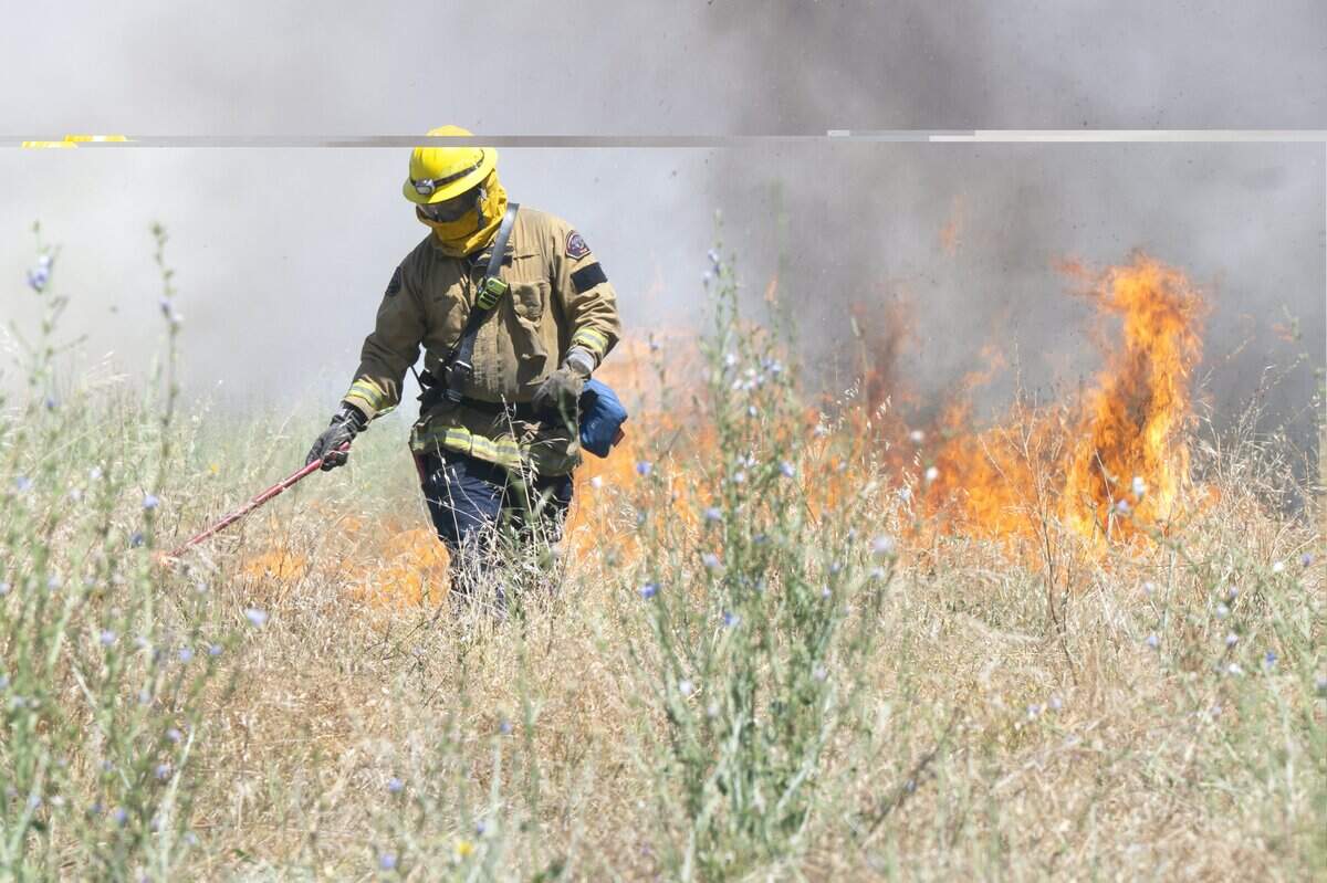 A firefighter tends to a prescribed burn near Dry Creek between 16th and 18th streets in Rio Linda on Tuesday.