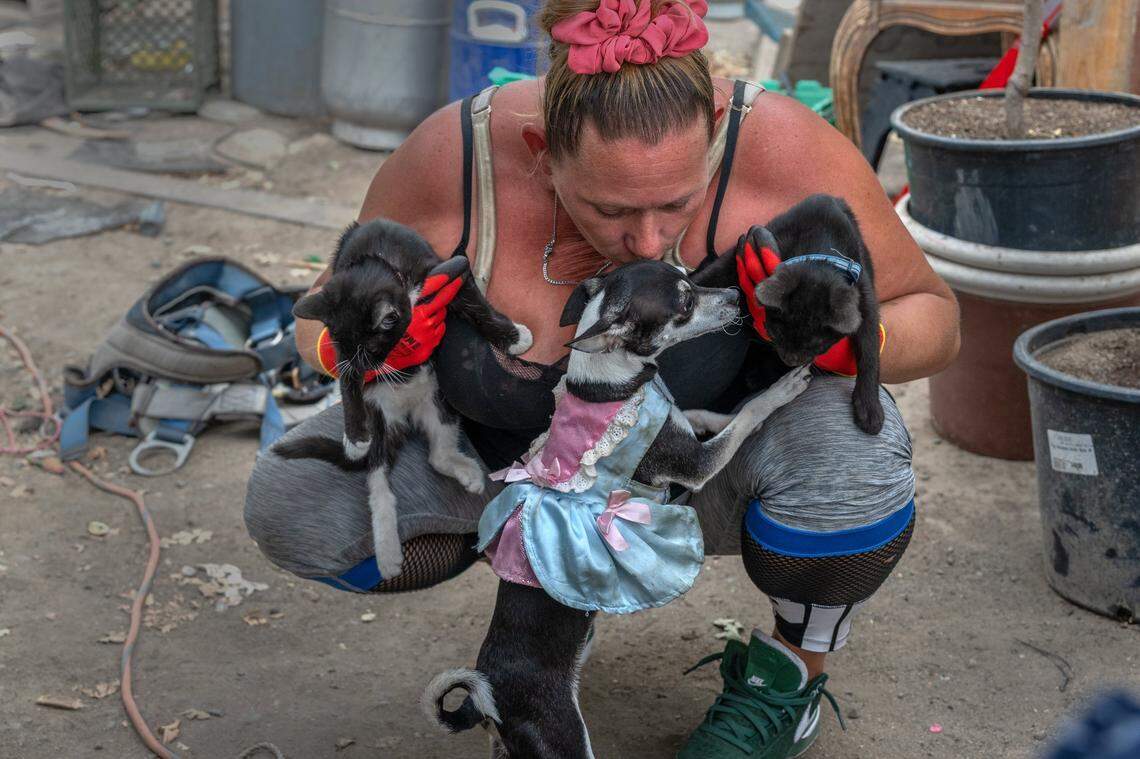 Daniel Mayberry gathers two of her six cats as she kisses her dog Panda on Friday to house in a crate in precaution for the Sacramento City sweep on Sunday. She also had two dogs so she could not go to any of the city shelters that the city was offering. The crate was being loaned by the Homeless Outreach and Assistance Program in partnership with Front Street shelter.