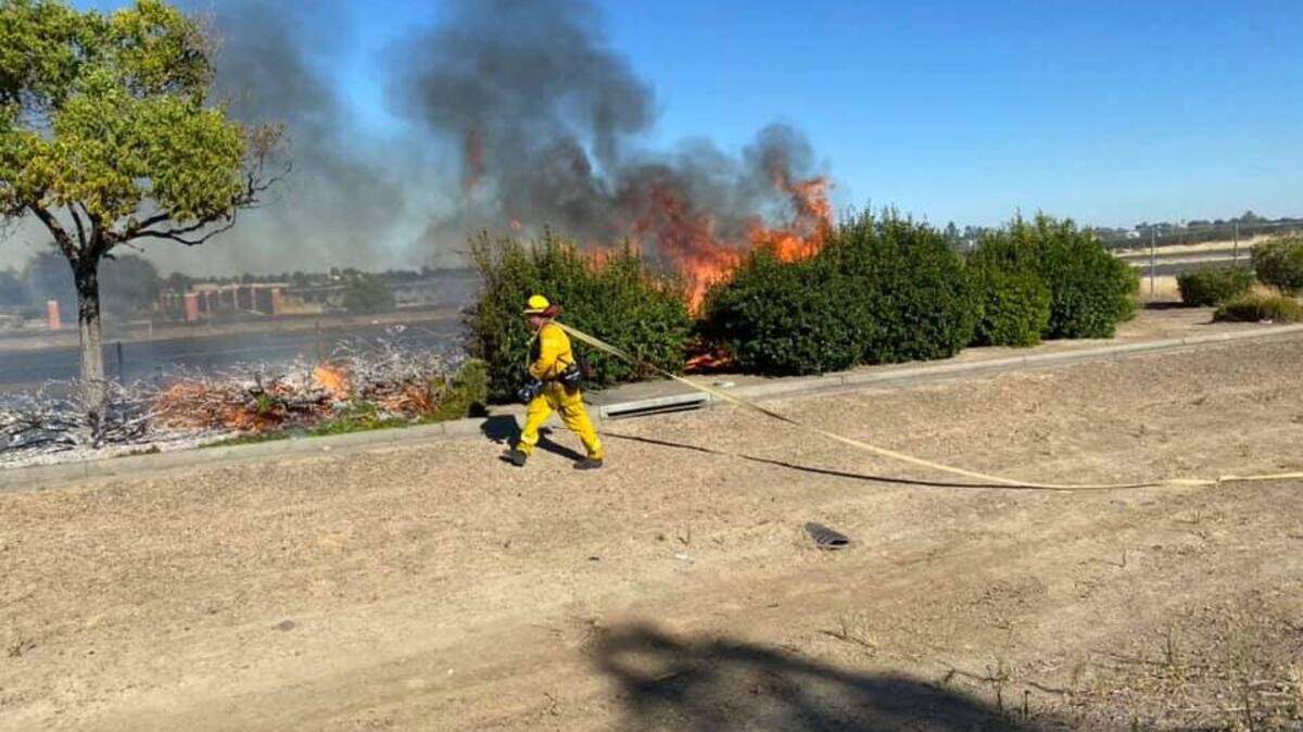 A firefighter battles one of six wildfires that broke out along the freeway in the Vacaville, Calif., area Saturday, July 11, 2020.