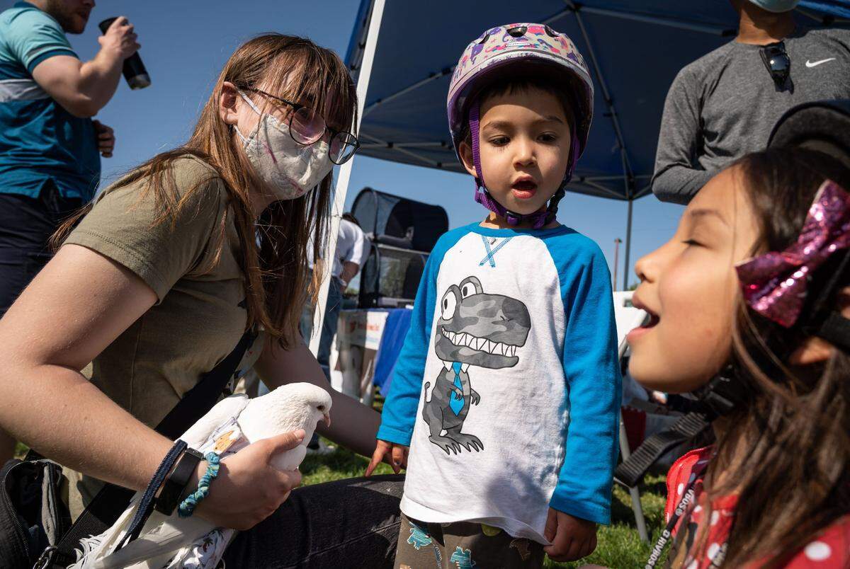 UC Davis student Hazel Tepper, a volunteer with Palomacy pigeon and dove adoptions, holds Stencil the bird as six-year-old Maya, right, and her brother, three-year-old Ian, both of Davis, interact during the schools 108th Picnic Day on Saturday, April 23, 2022. The tradition resumed in-person after skipping two years due to the COVID-19 pandemic.