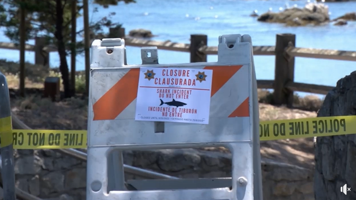 A shark attack left a man with significant injuries to his leg and stomach on June 22, 2022, at Lovers Point Beach in Pacific Grove, California. Lovers Point and the Sea Palm turnout will be closed until June 25.