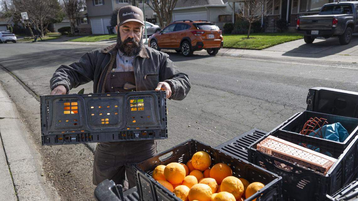 Got citrus? Organization tackles food insecurity with backyard bounty