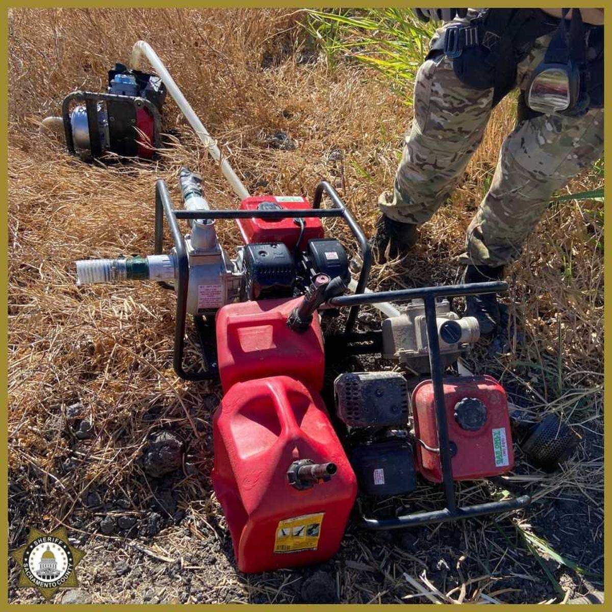 While seizing over 36,000 marijuana plants on Sept. 9 and 10, 2024, at 10 sites, investigators found portable water pumps and power generators used to grow the illegal crops in the Delta area in Sacramento County, California.
