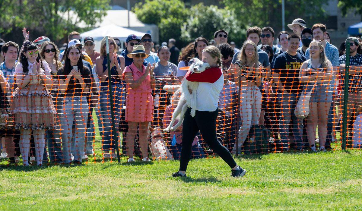 Annabelle Peterson of Livermore carries her dog Tutter after he leapt into her arms following their turn in the Frisbee Dog contest at UC Davis’ Picnic Day on Saturday.