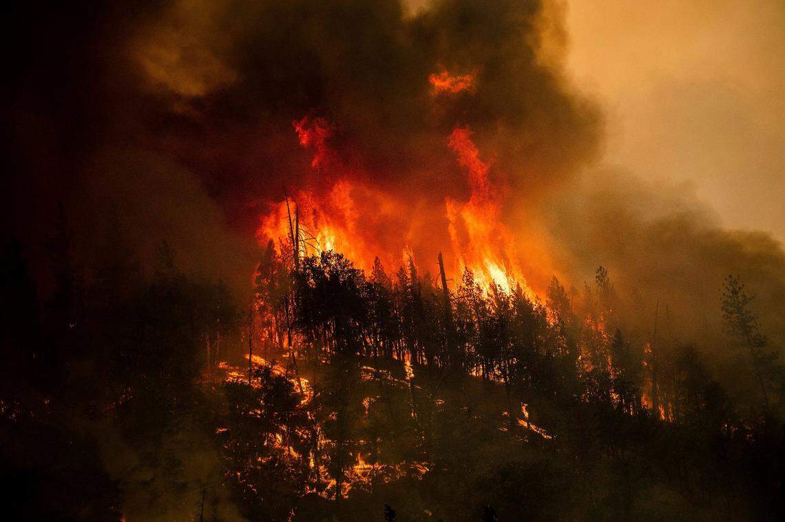 Flames from the McKinney Fire consume trees along California Highway 96 in Klamath National Forest, Calif., Saturday, July 30.