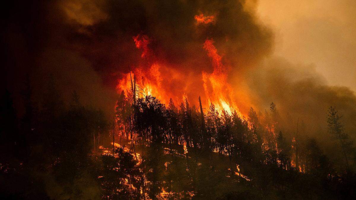 Flames from the McKinney Fire consume trees along California Highway 96 in Klamath National Forest in July. On Monday California’s Legislative Analyst’s Office released a report on the challenges posed by wildfire smoke in the state. (AP Photo/Noah Berger)