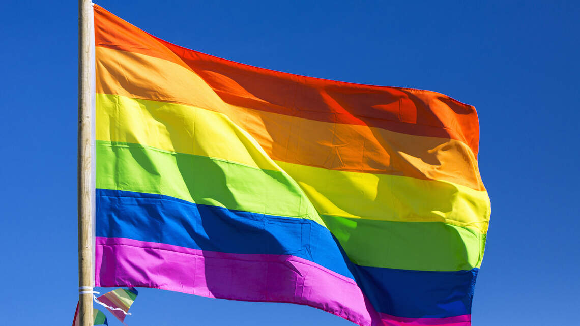 Davis Pride launches month-long celebration beginning Saturday