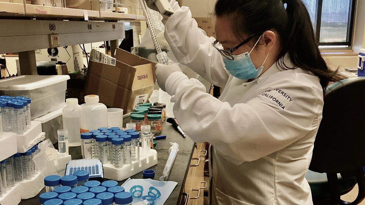 Emma Zhang, a fourth-year student the UC Davis School of Veterinary Medicine, said the discovery that pathogens are finding their way around the world’s oceans on microplastics shows the importance of studying the intersection of human, wildlife and environmental health.