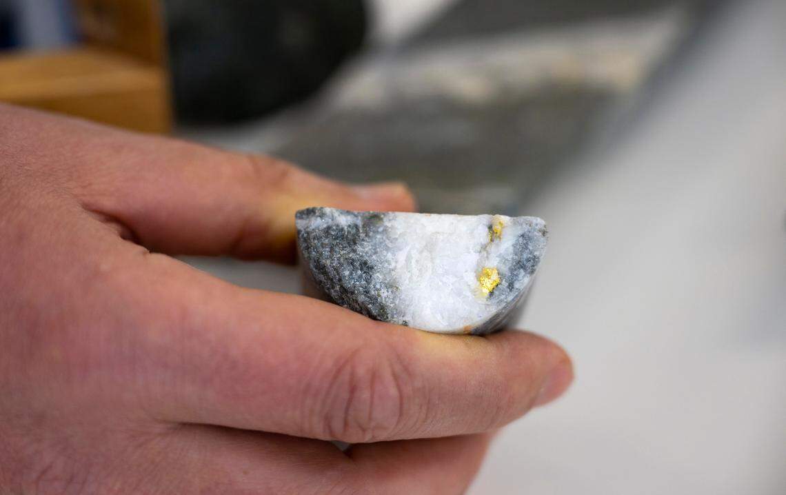 Gold sparkles amid a vein of quartz in an exploratory drilling sample from the Idaho-Maryland Mine held by Rise Gold Corp. CEO Ben Mossman in his Nevada County office. The mine produced more than 120,000 ounces of gold in 1940-41, its last year of full-scale operation before it closed for World War II. That amount would be worth about $240 million at current trading prices.