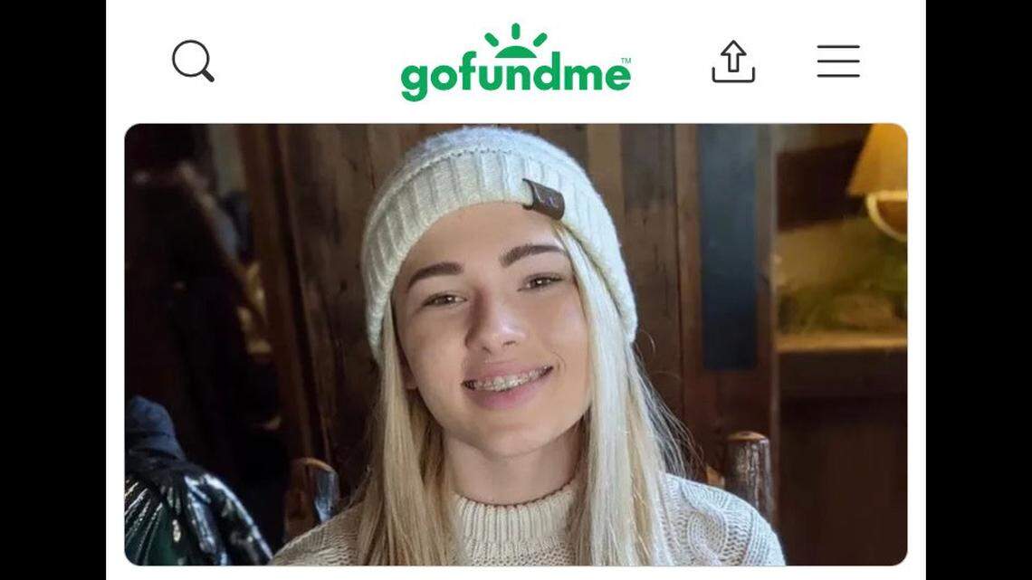 Lilly Warren, 17, died after being hit by a pickup truck on her way to school, officials said.