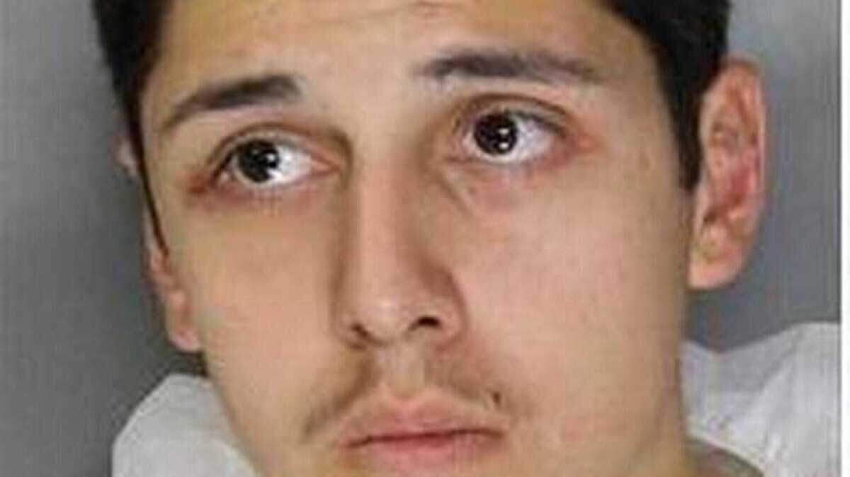 Armando Antonio Pachicano, 23, pled no contest to charges stemming from a 2015 attack in which he âambushedâ his ex-girlfriend and stabbed her multiple times. He faces a minimum sentence of 11 years to life.Â 