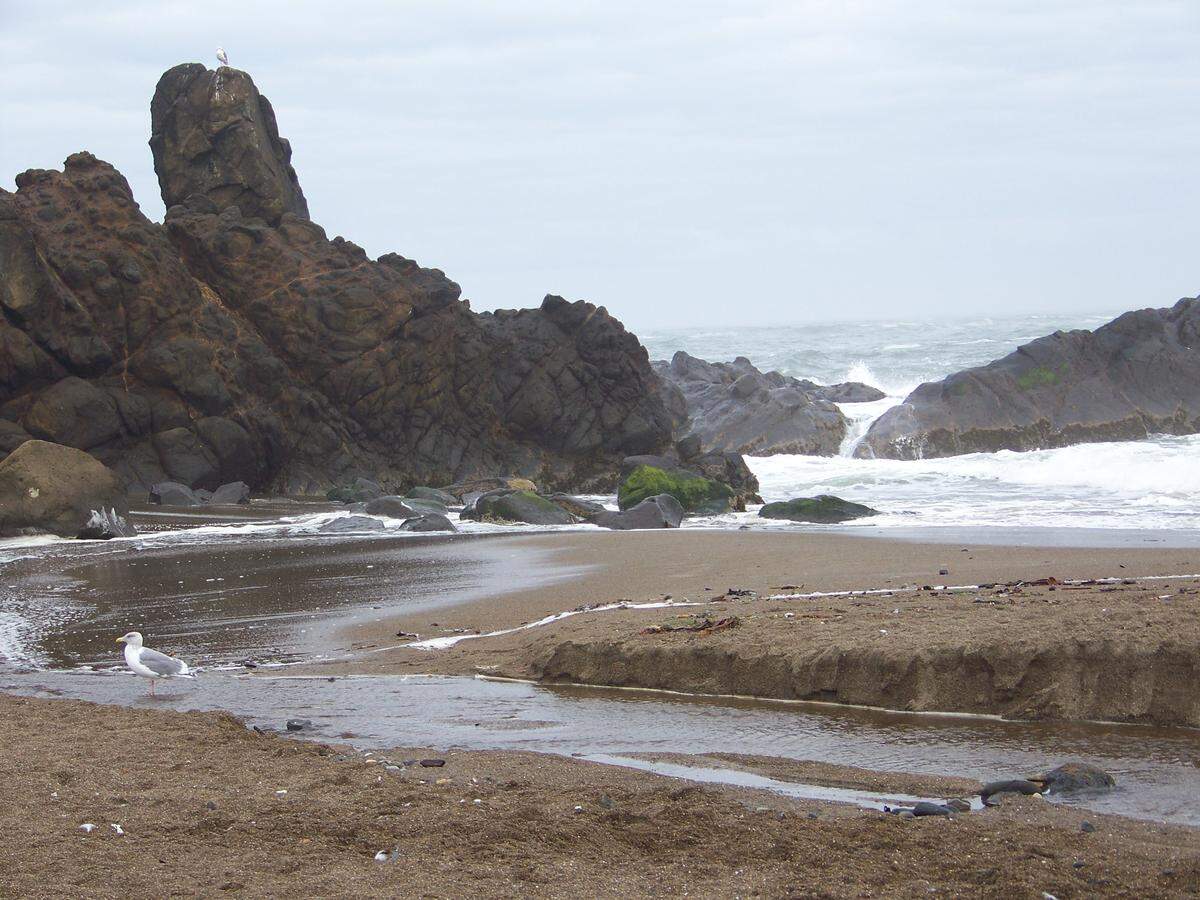 The beach that author Bunny Stevens frequented each morning when she lived near the Pacific Ocean.