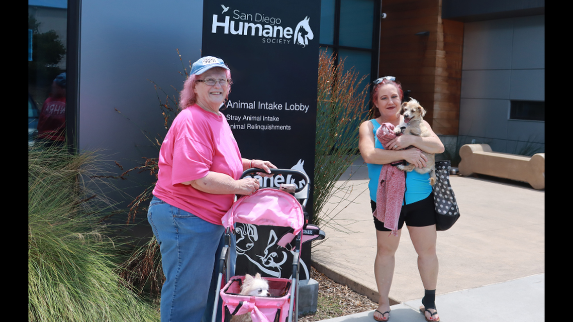 As soon as Debbie Ferris learned her "beloved pup" was found in California, she packed her bags and made her way to pick him up alongside Ryder’s “aunt” Darlene Hardee and his best dog friend, Blondie, the nonprofit said.&nbsp;