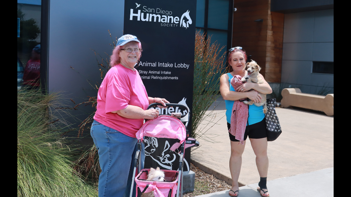 As soon as Debbie Ferris learned her "beloved pup" was found in California, she packed her bags and made her way to pick him up alongside Ryder’s “aunt” Darlene Hardee and his best dog friend, Blondie, the nonprofit said.&nbsp;