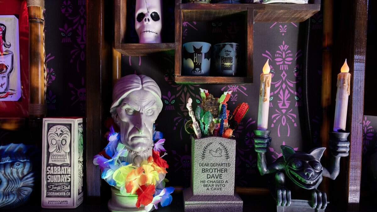Tickets für die Tiki Home Bar Tour verpasst? Entdecken Sie 3 weitere ...