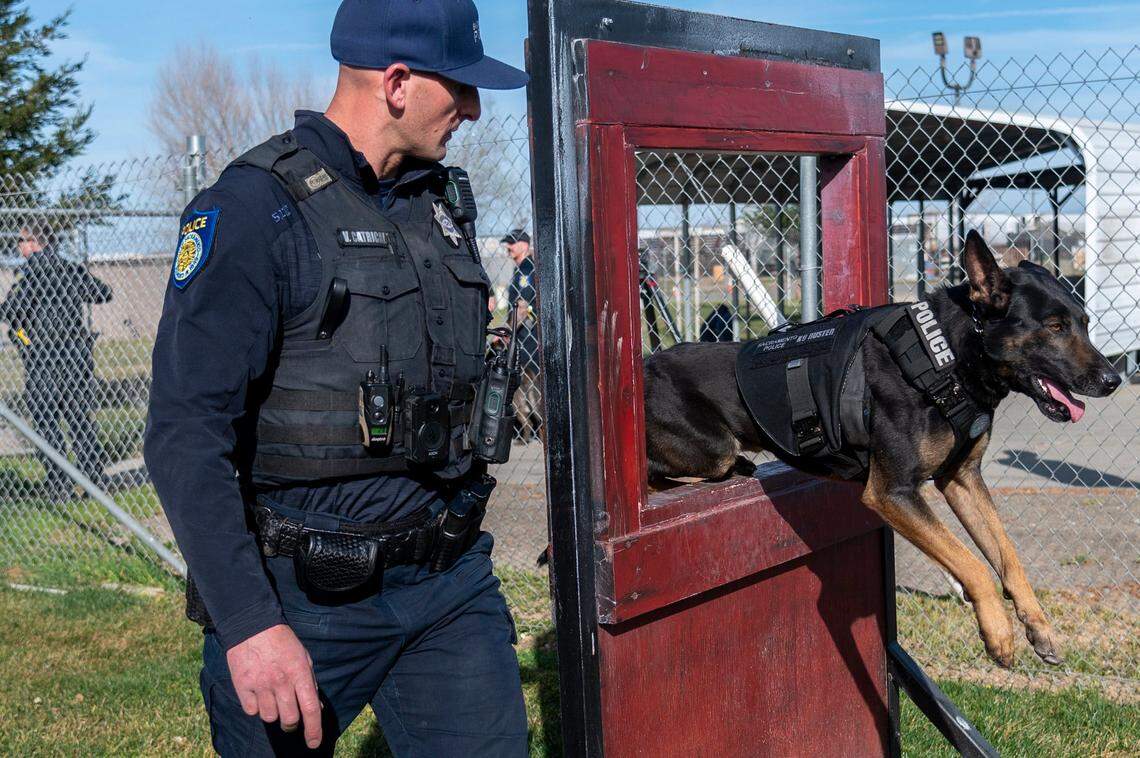 Sacramento Police officer Vinnie Catricala watches over Buster as he performs a drill with a protective ballistic vest Wednesday. The vest was donated by Brady’s K9 Fund, an Ohio-based group that raises money to outfit working dogs with protective vests.