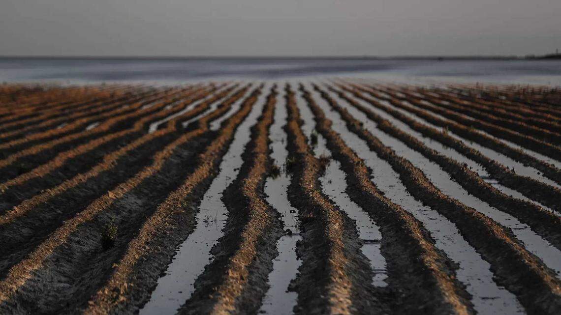 California’s groundwater reservoirs got a major boost last year, offering a glimmer of hope for recharge efforts for the depleted underground aquifer’s that remain in a long term deficit. 