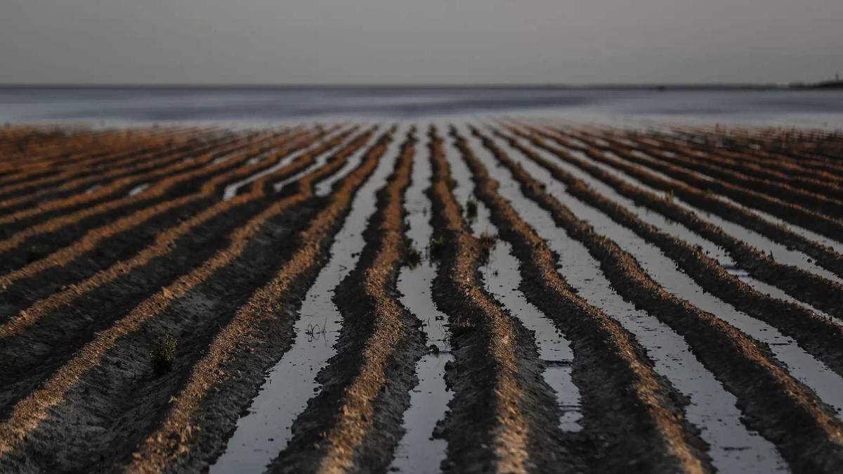 California’s groundwater reservoirs got a major boost last year, offering a glimmer of hope for recharge efforts for the depleted underground aquifer’s that remain in a long term deficit. 